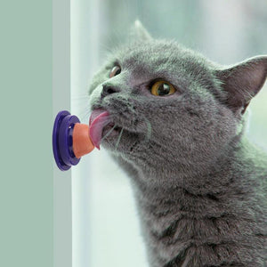 Healthy Catnip Sugar Candy Licking Solid Nutrition Gel Energy Ball Toy for Cat Increase Drinking Water Help Digestion