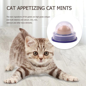 Healthy Catnip Sugar Candy Licking Solid Nutrition Gel Energy Ball Toy for Cat Increase Drinking Water Help Digestion