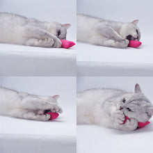 Load image into Gallery viewer, Mini Teeth Grinding Catnip Toys Interactive Plush Cat Toy Vocal Claws