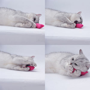 Mini Teeth Grinding Catnip Toys Interactive Plush Cat Toy Vocal Claws